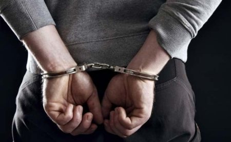 NDIS Fraud Arrested